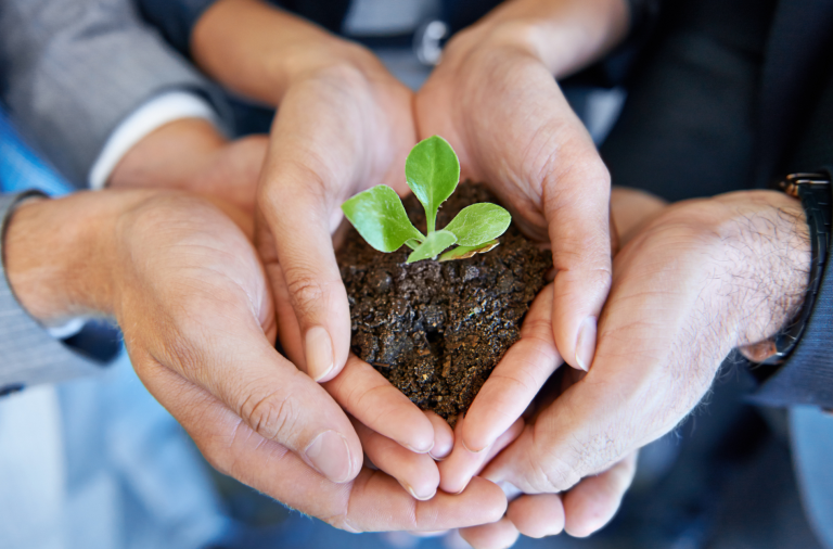 children holding seedling