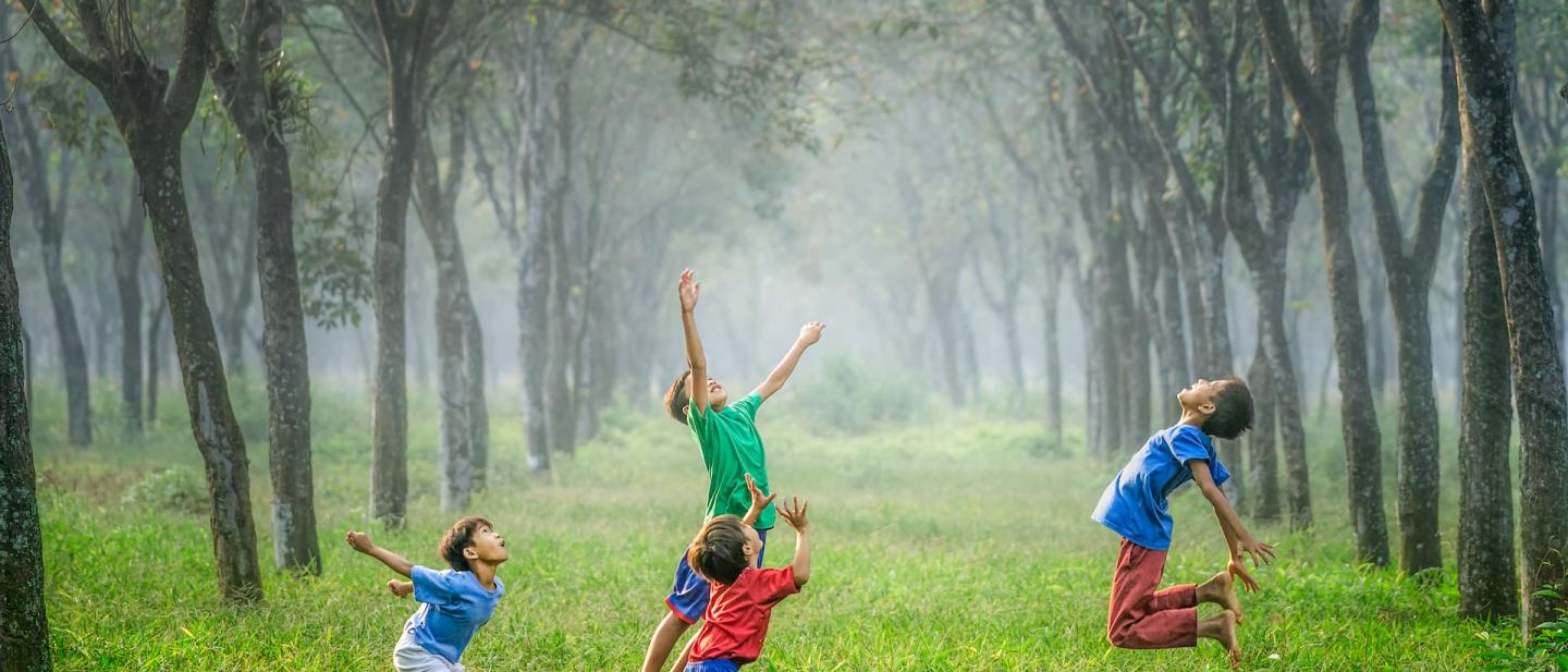 Children playing together in a forest