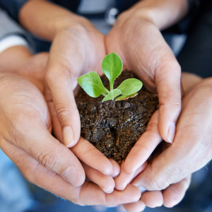 children holding seedling